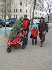 Bringing The Tree Home on Prospect Park